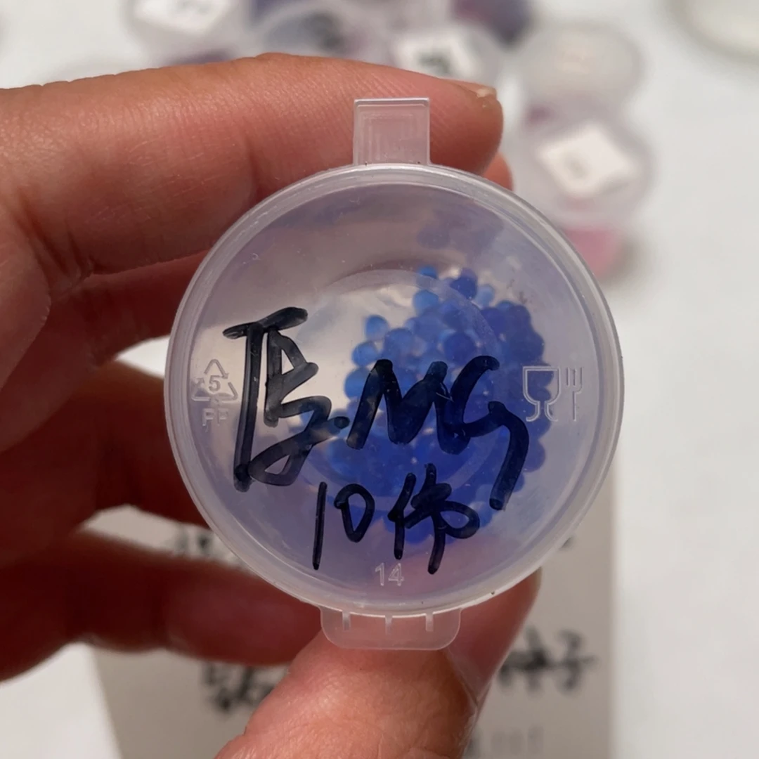 厚叶✖️麦秆20粒，新品