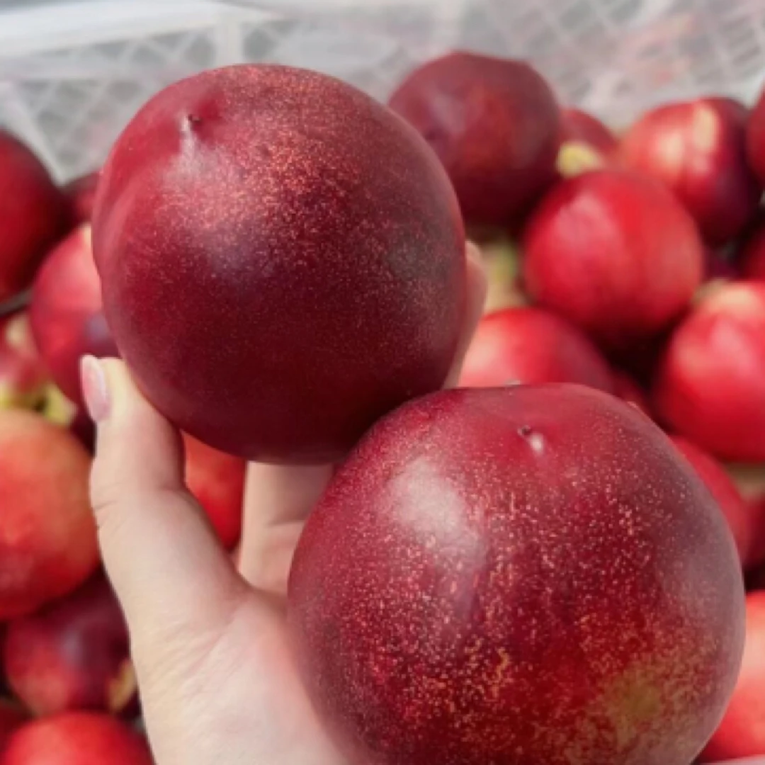 桃王油桃一斤装