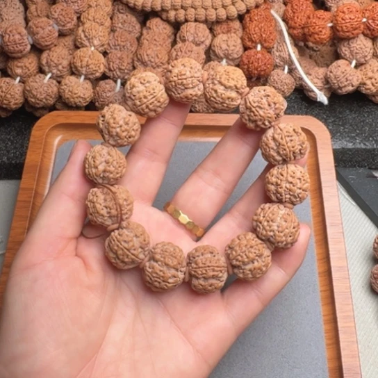 菩提1号尼泊尔大金刚20梅花