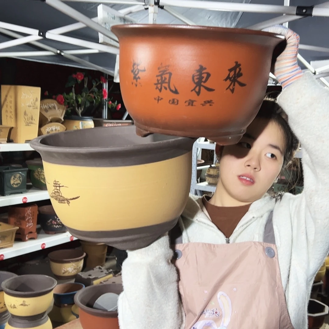 002花盆花盆花盆+35紫气东来花盆花盆