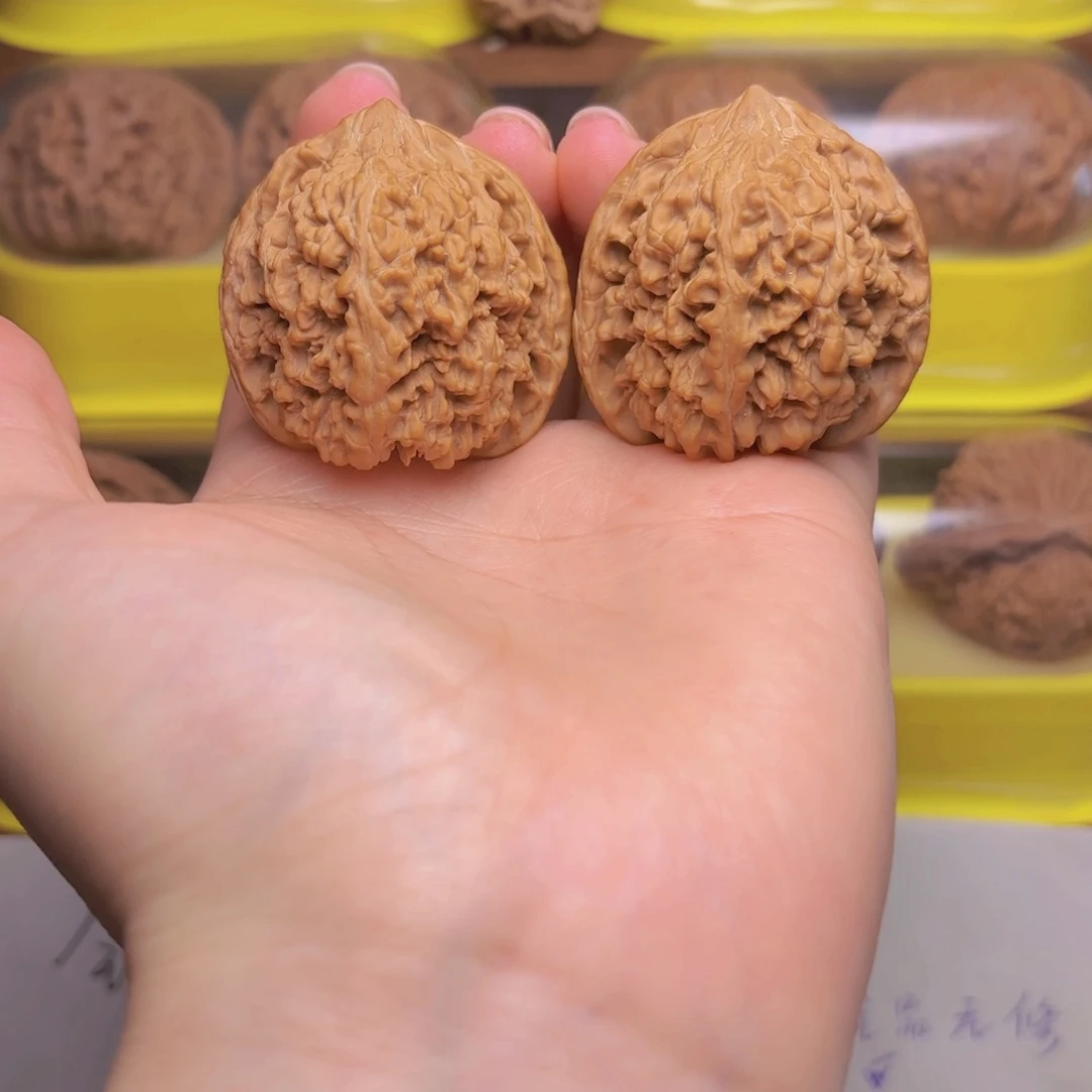 满天星狮子头四十尺