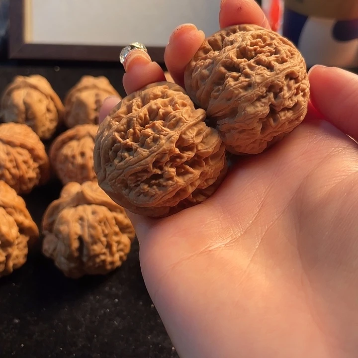 大叶紫檀（黑酸枝木类）