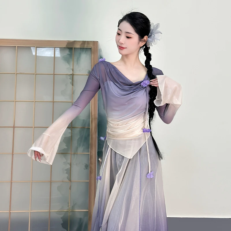 古典古典舞舞蹈渐变新款身韵纱衣演出服中国飘逸裙裤练功表演套装