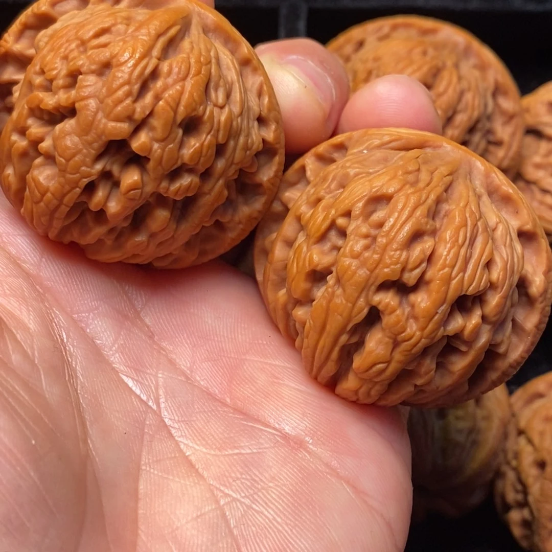 文玩核桃把件秦岭野生动物园