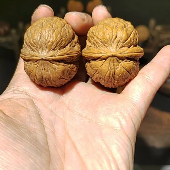 把件文玩核桃福利云铁粗筋40尺