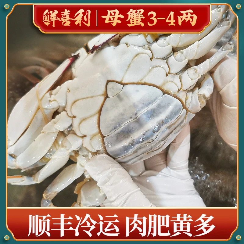 J 舟山母蟹梭子蟹4两左右/只（8只3斤左右，含赠品）不可清蒸【冻蟹】