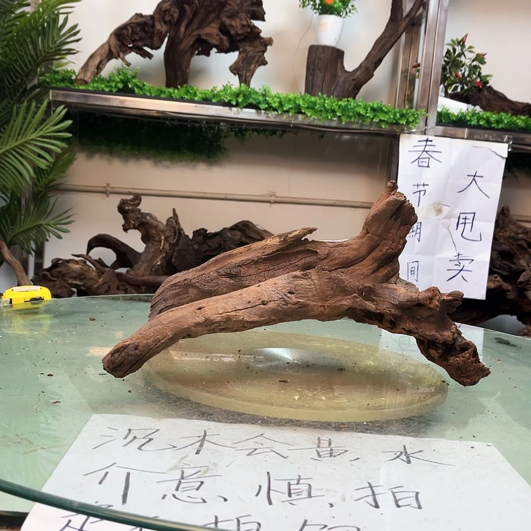 柚木沉木鱼缸造景