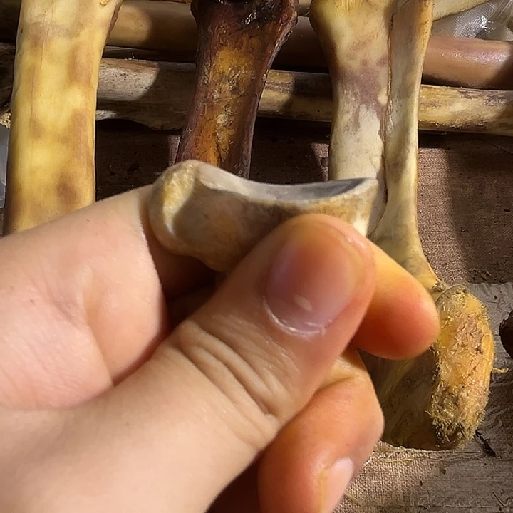 yyhu指甲指甲指甲