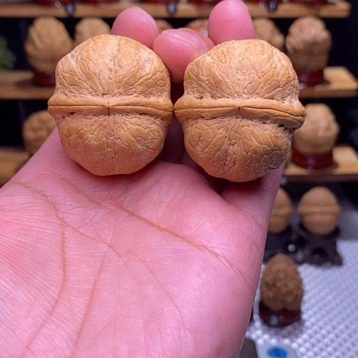 木质类云铁金蟒萌萌包82号