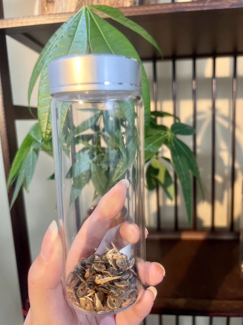 沉香碎料多样性发一