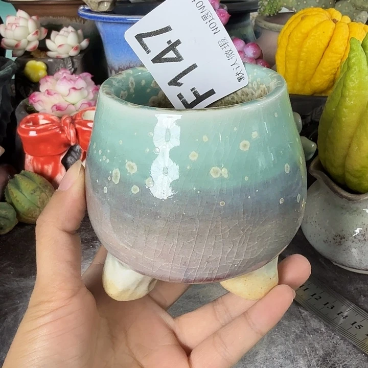 重庆小燕子欢迎大家147
