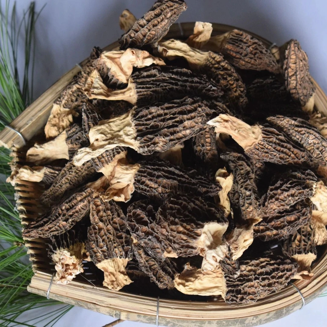 雪山村干货羊肚菌