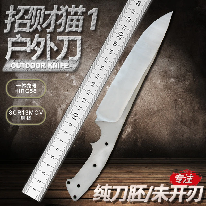 大马猴的未开刃水果刀胚子(E2)           猫1