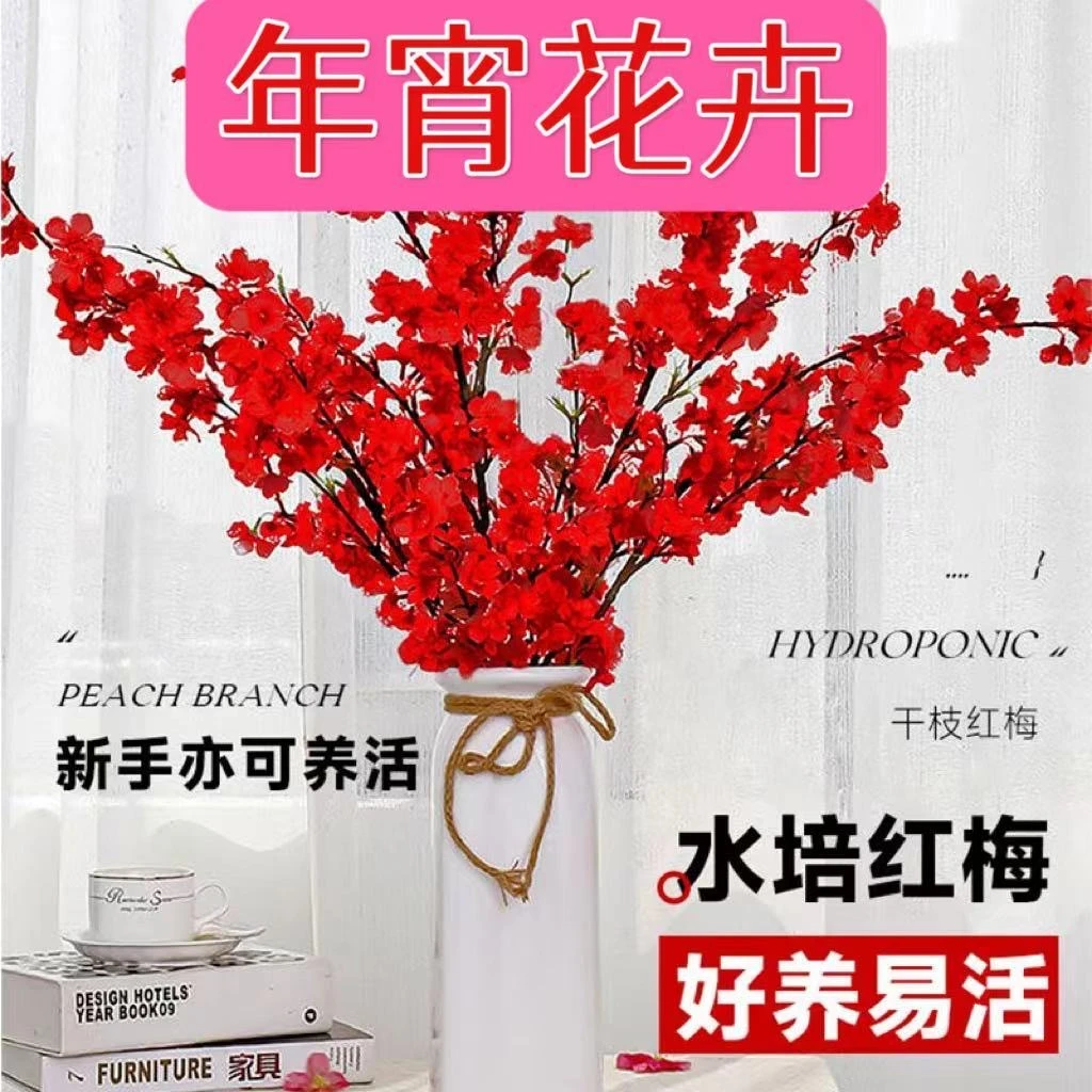 【年宵爆款】干枝红梅遇水开花带花苞红梅花枝耐寒飘香好养新年花开