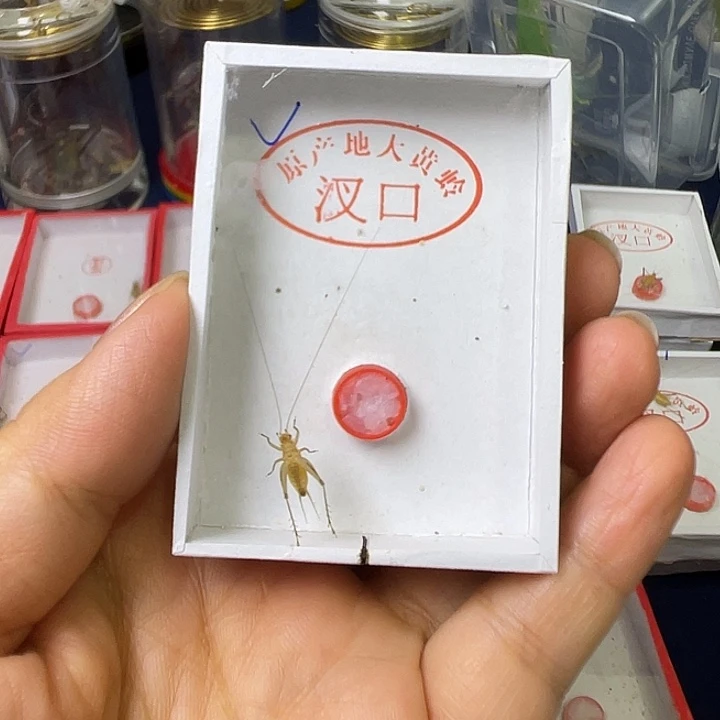 水***马哈哈哈哈哈哈哈哈哈