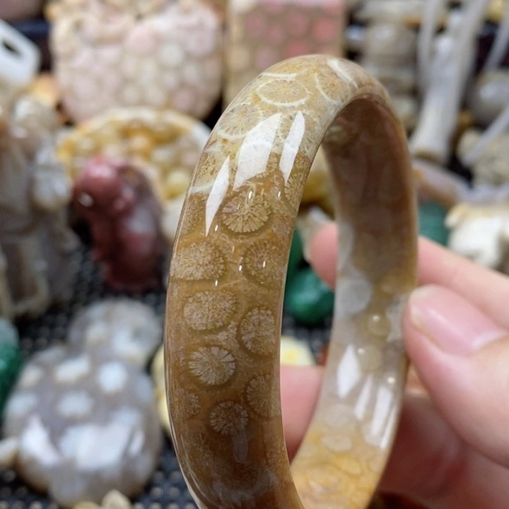 硅化珊瑚（珊瑚玉）颈饰未镶嵌特价57