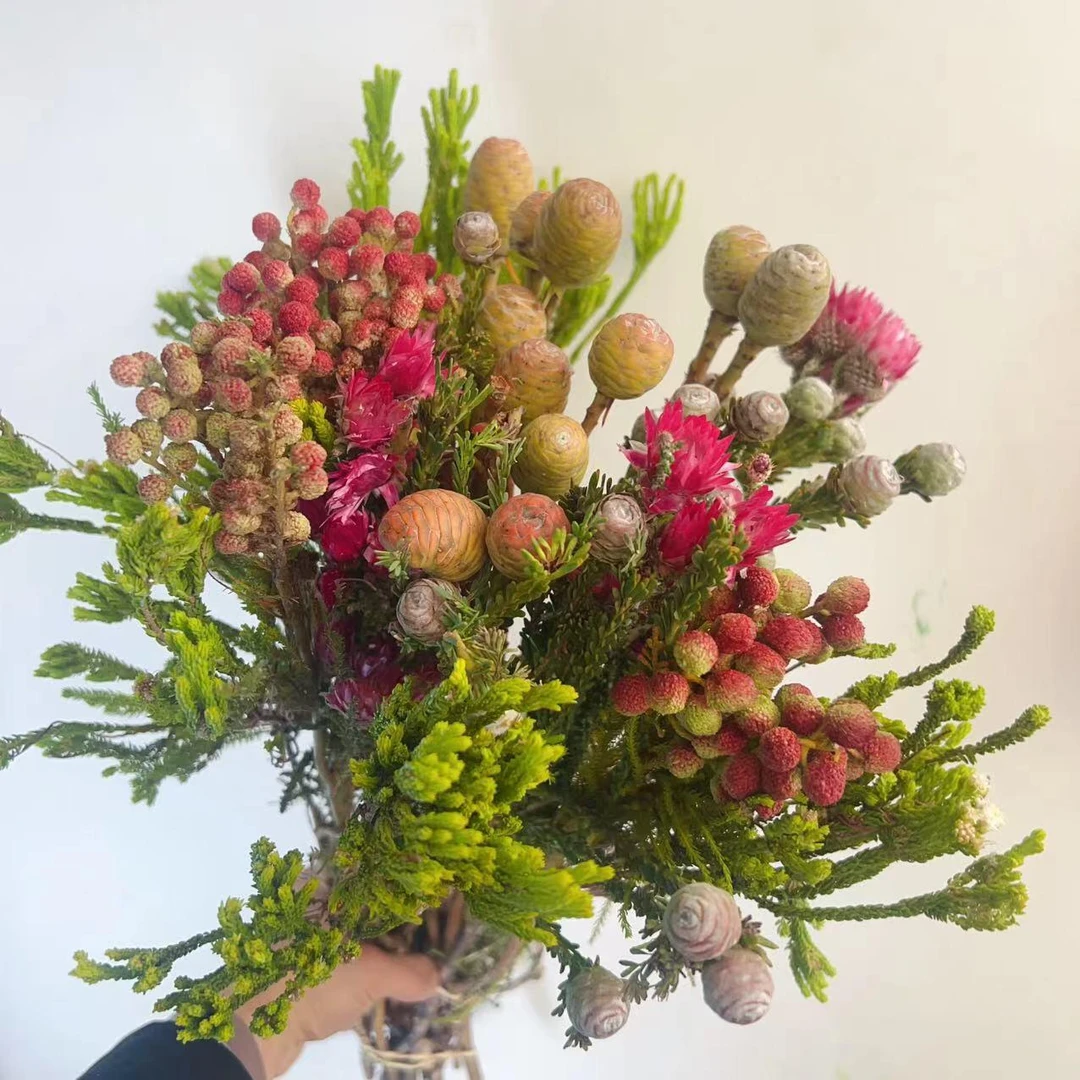 云南昆明鲜花基地直发果子花束日常家用水养插花鲜切花
