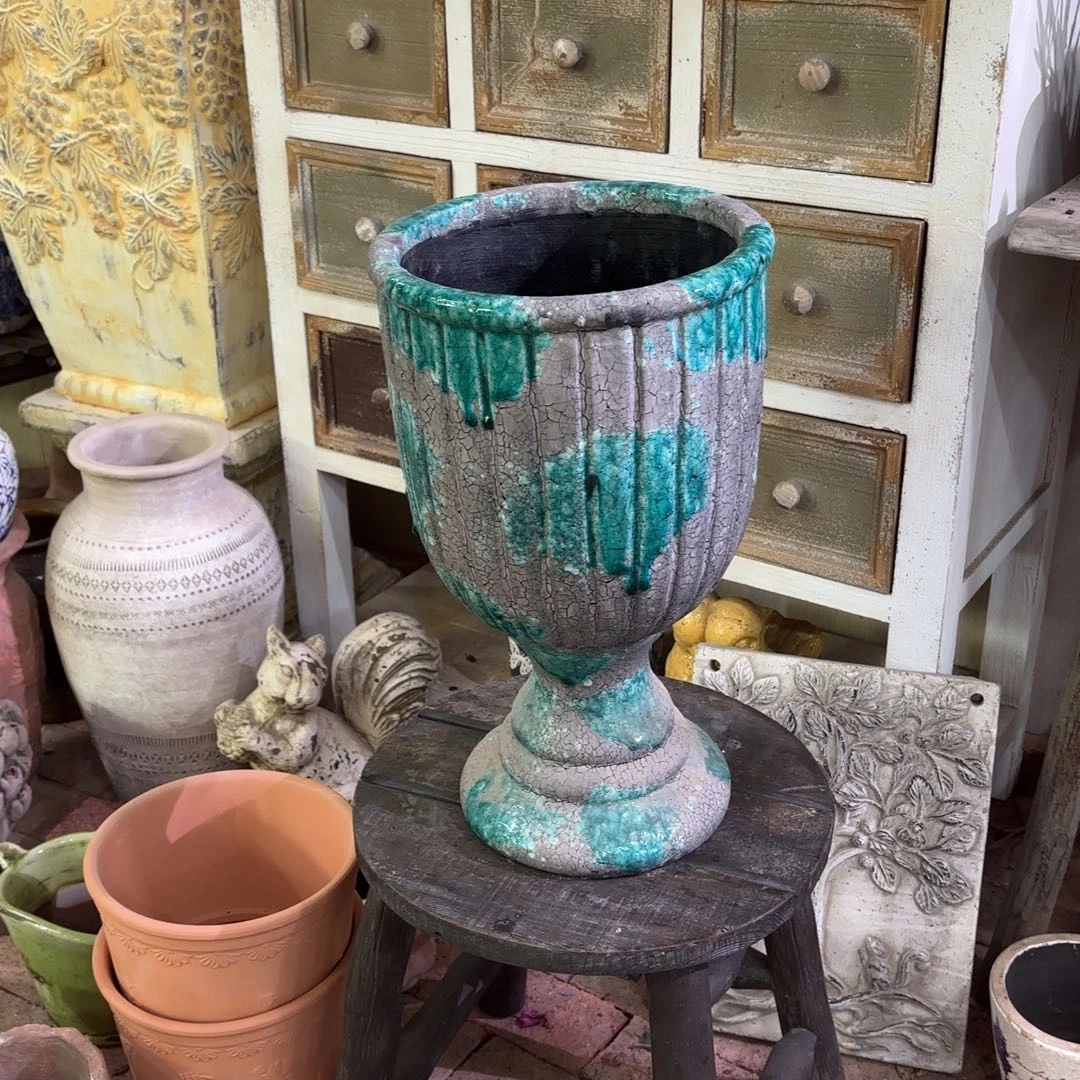 许纯的花房绿色大奖杯