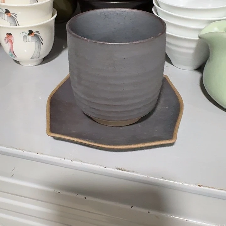 主人杯一个，瓷。。主人