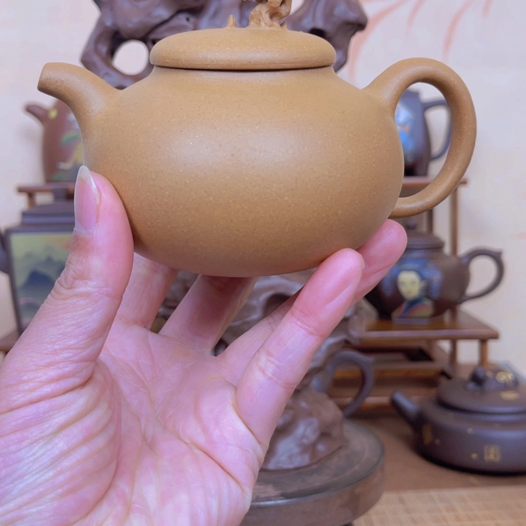 紫砂茶壶宜兴紫砂