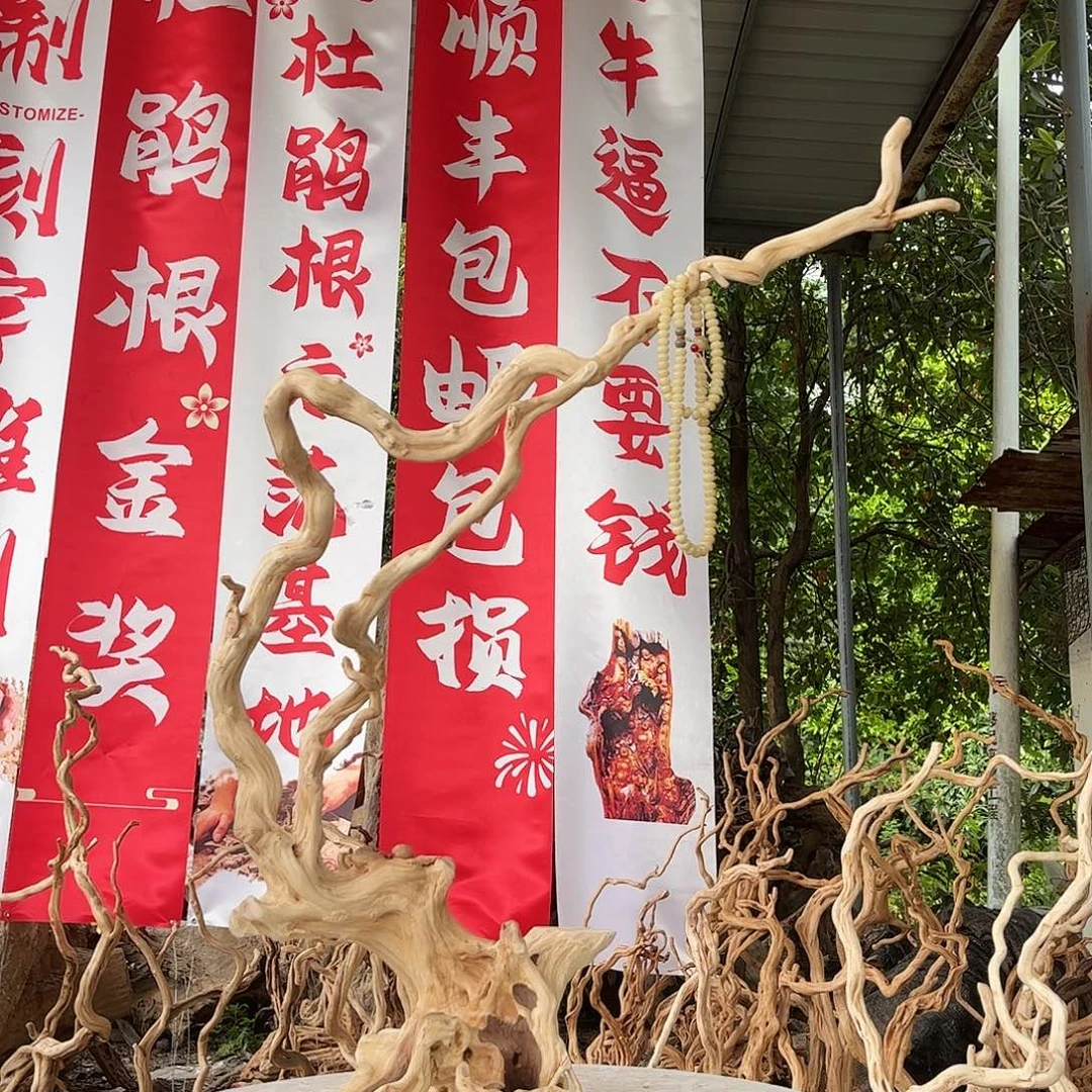 沐***锦木我们的生活方式是