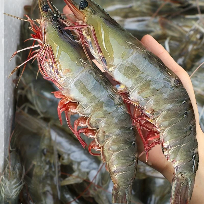 超大南美白对虾 2030规格 新鲜速冻发货 净重:3kg