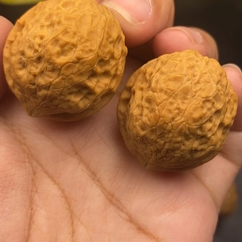 文玩核桃把件36尺蛇皮