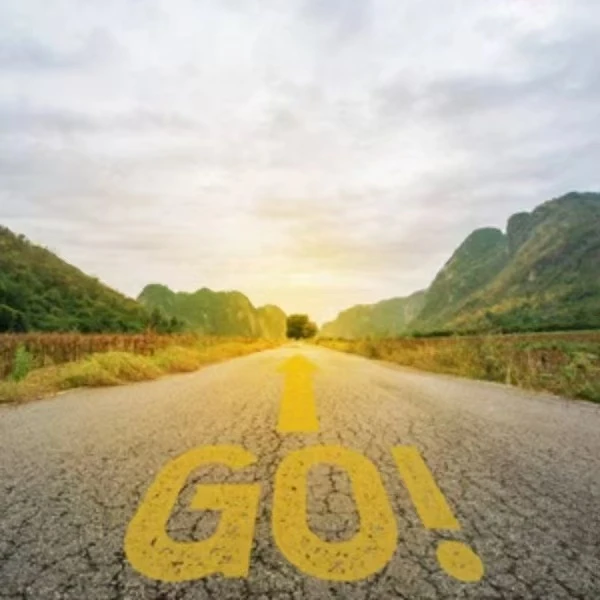 瑶  新中式  风 1310268  对鹿海棠团花蜀锦太太服