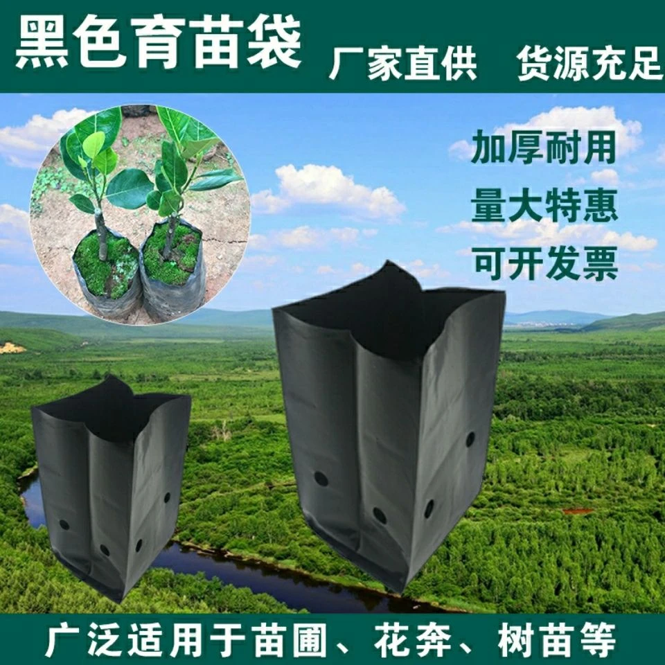 育苗袋环保育苗杯黑色加厚塑料种植袋一次性营养袋适用于柑橘苗等