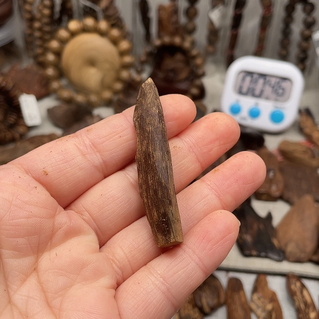 沉香沉香碎屑文莱