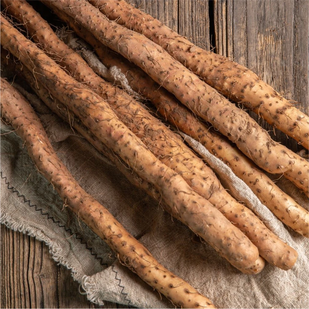 太极庄鲜垆土铁棍山药60公分正宗怀山药河南焦作