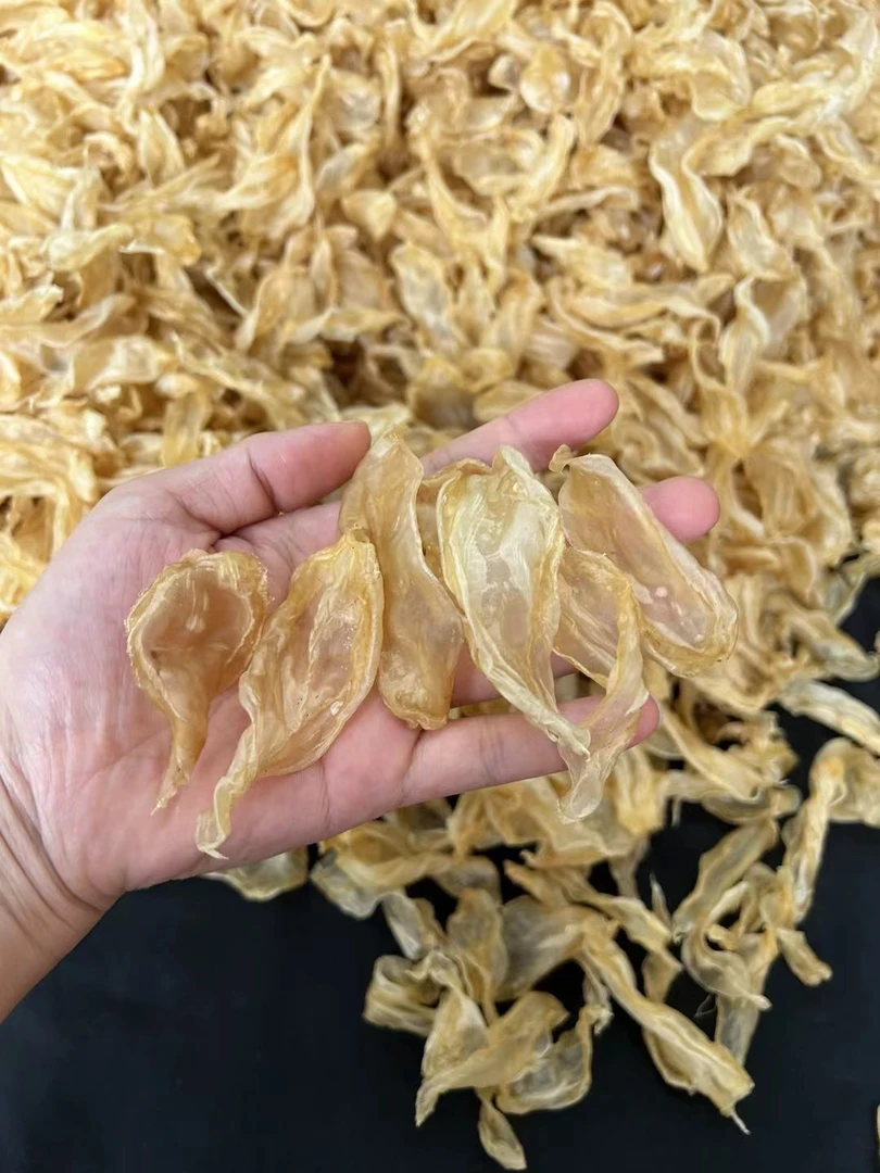 野生厚肉竹叶胶500g