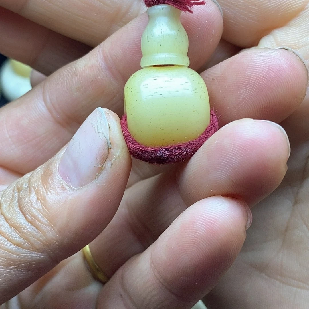 贝壳手串/手链普****z……………………………………