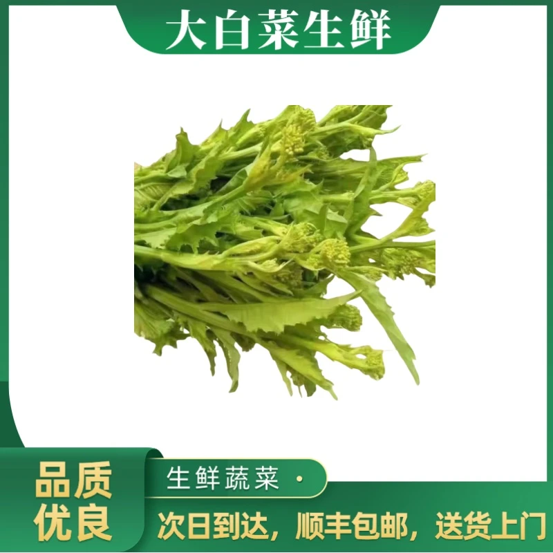 上海青菜苔 400g±20g