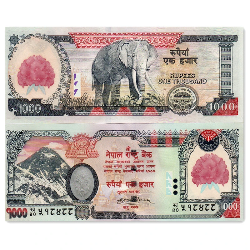 尼泊尔1000卢比纸币 2008年大象红花版 大面值亚洲外国钱币95新