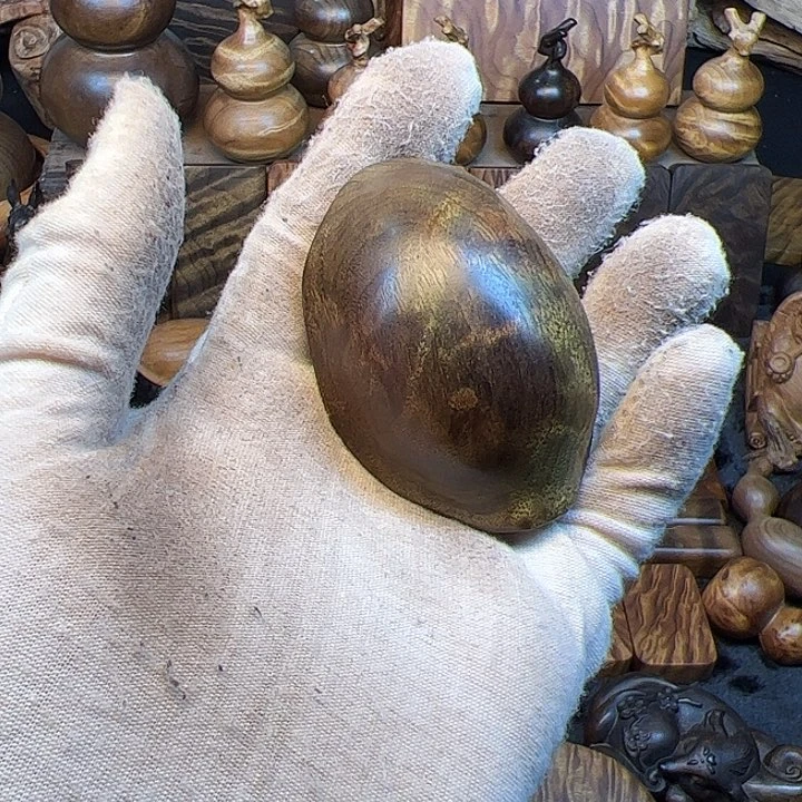 楠木金丝楠木小叶