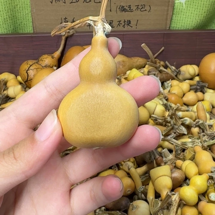 葫芦葫芦葫芦葫芦葫芦