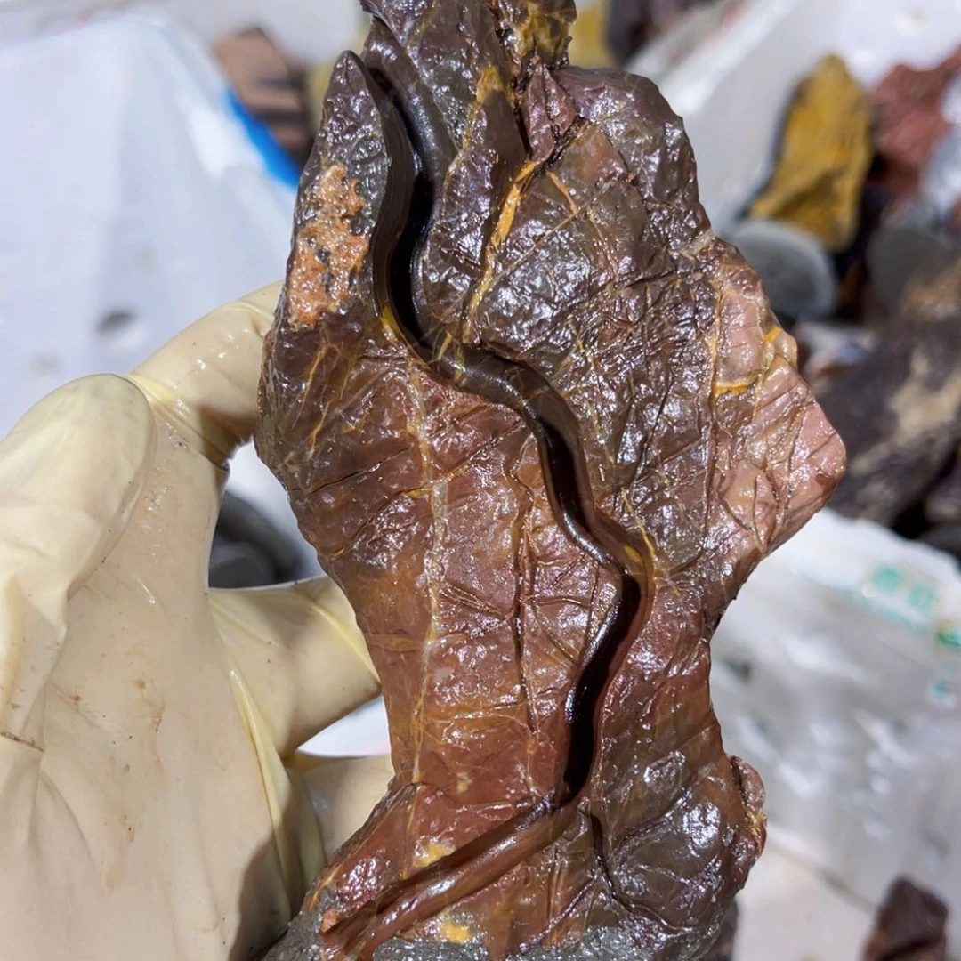 一**景附石盆景一物一拍