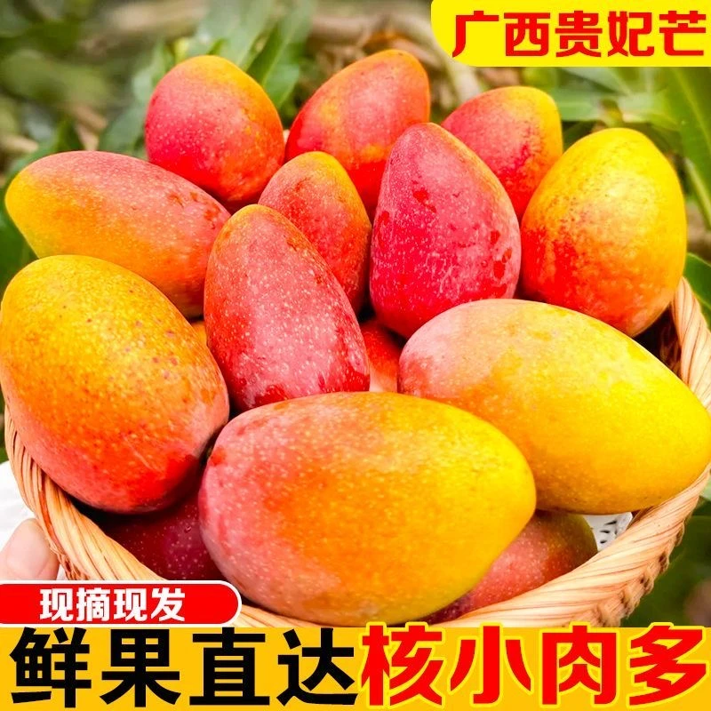 【放软吃】广西贵妃芒果新鲜现摘净重5斤