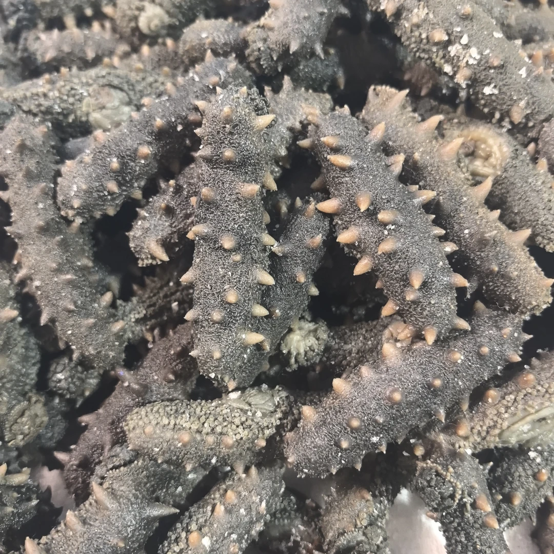 长海县小长山【大火半干海参】小规格实惠自己吃很合适