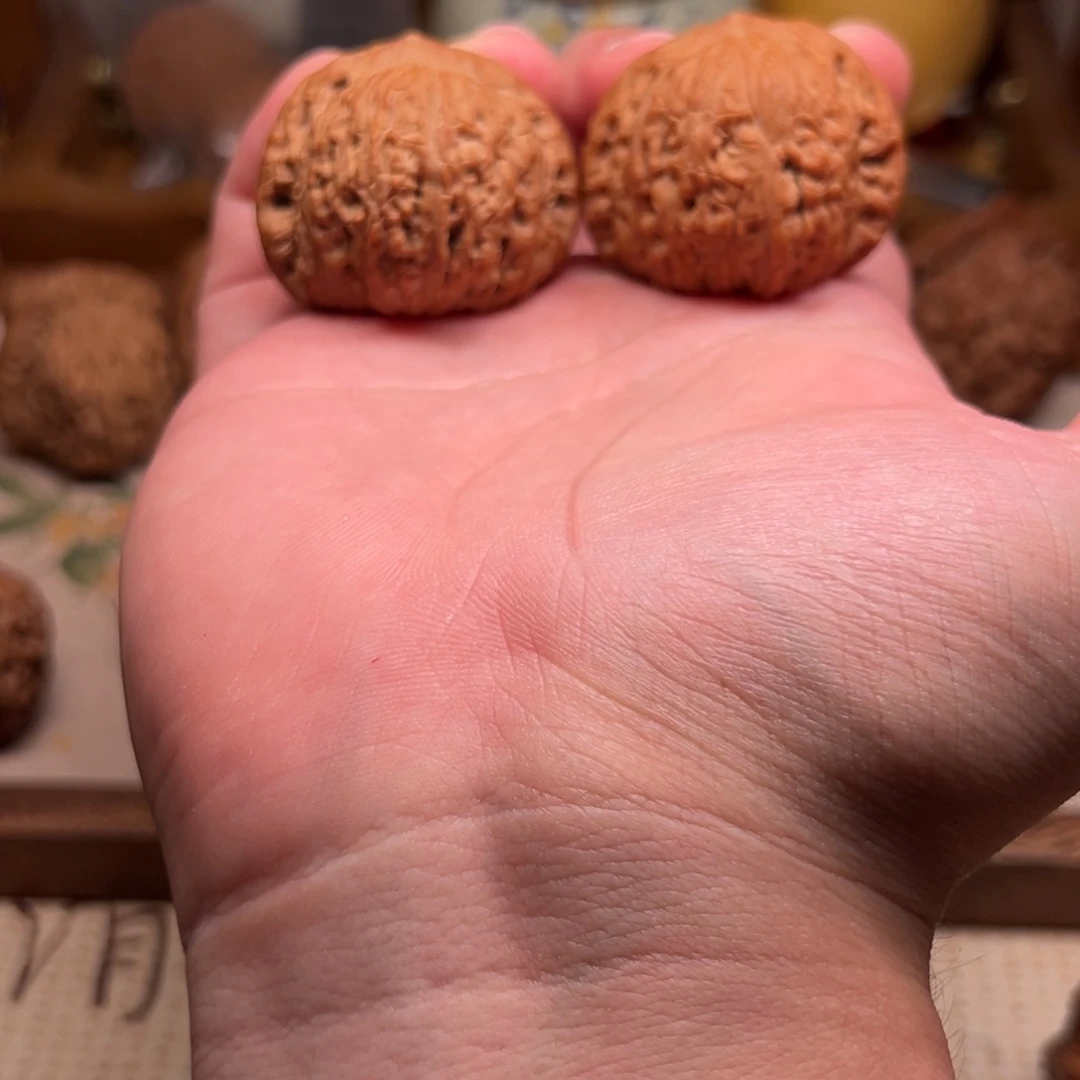 加***兽全品无修泥鳅背精对