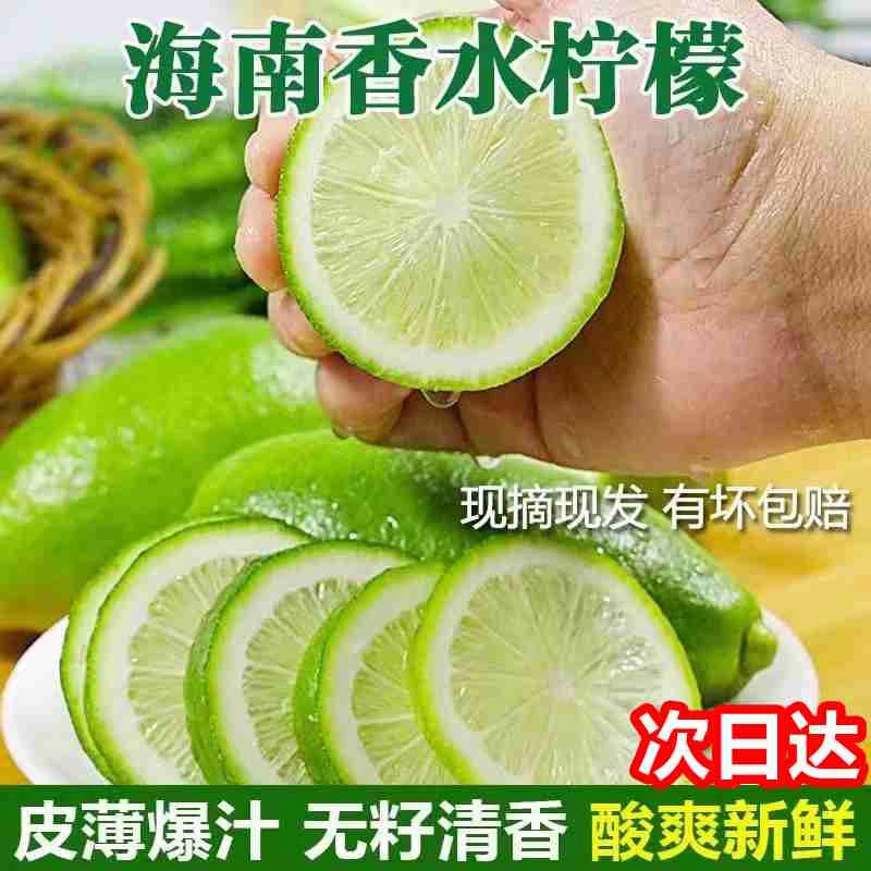 【广东广西次日达】海南香水柠檬青柠檬净重3斤5斤9斤新鲜广西壮族自治区