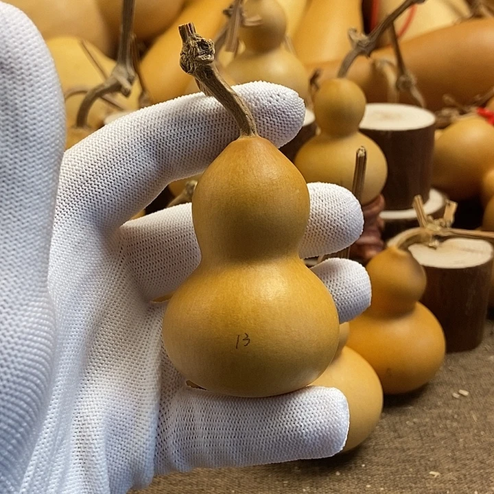 文玩葫芦 完美主义者 慎拍13