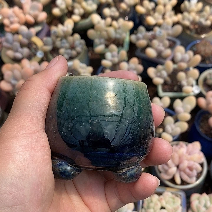 C*一物一拍盆盆盆盆