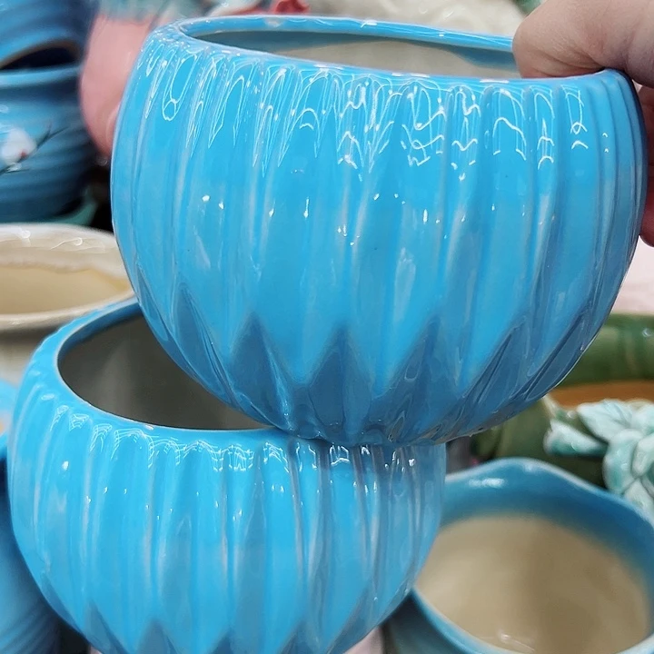 多肉植物陶瓷花盆