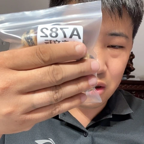 【闪购商品】石英石铁合金平****乐782