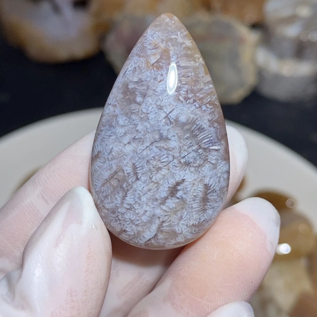 【闪购商品】硅化玉颈饰未镶嵌