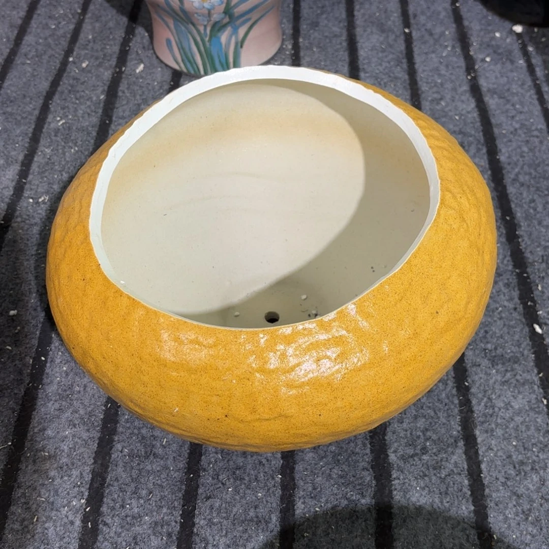 Y***好就过摸拓舞台小姨句我要看