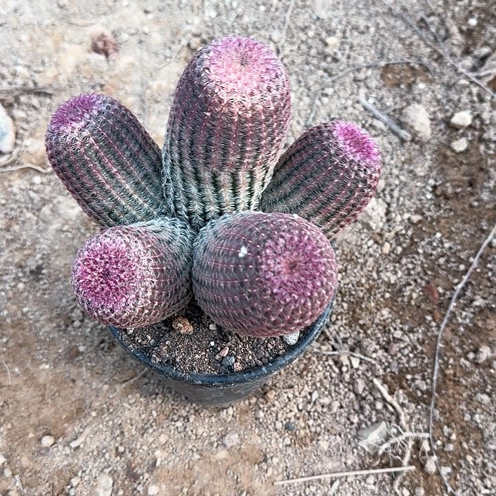 汐*＆哈哈哈哈哈哈哈哈