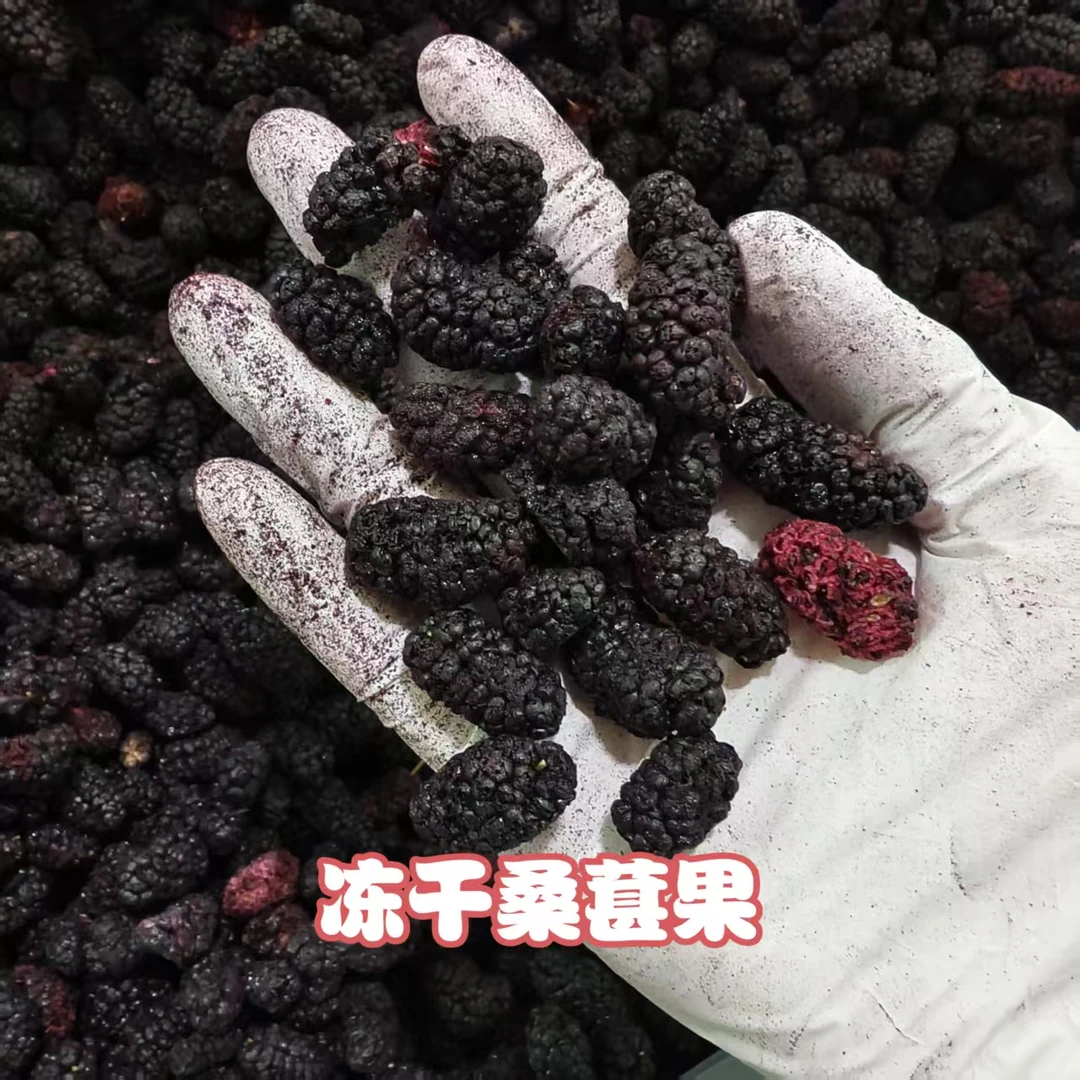 冻干桑葚果 无糖无硫无染色